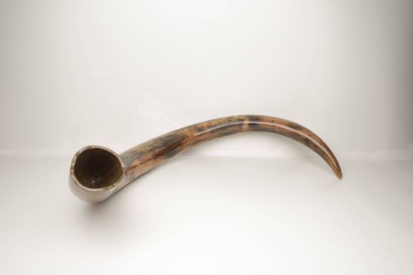 Restored woolly mammoth tusk