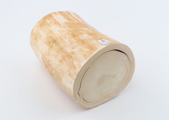 Round mammoth ivory piece