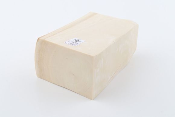 White mammoth ivory segment