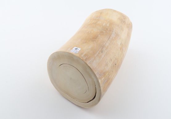 Round mammoth tusk piece