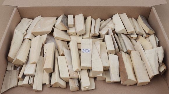 White mammoth ivory offcuts