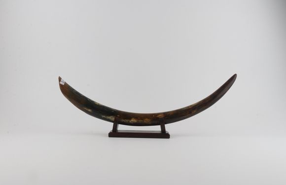 Restored mammoth tusk tip