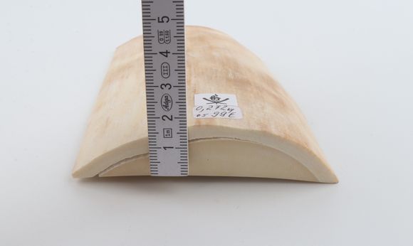 White mammoth ivory piece