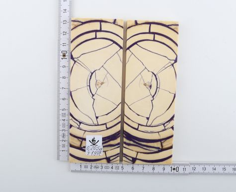Stabilised mammoth ivory scales