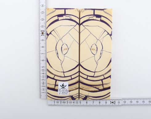 Stabilized mammoth ivory scales