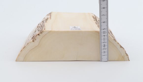 White mammoth ivory segment